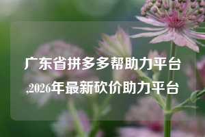 广东省拼多多帮助力平台,2026年最新砍价助力平台