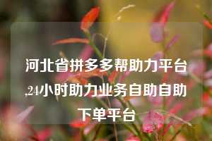 河北省拼多多帮助力平台,24小时助力业务自助自助下单平台