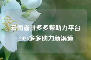 云南省拼多多帮助力平台,2026多多助力新渠道