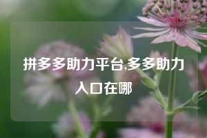 拼多多助力平台,多多助力入口在哪