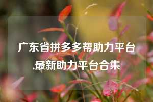 广东省拼多多帮助力平台,最新助力平台合集