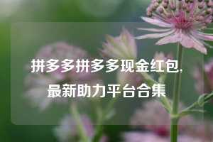 拼多多拼多多现金红包,最新助力平台合集