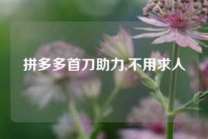 拼多多首刀助力,不用求人