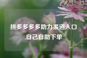 拼多多多多助力渠道入口,自己自助下单
