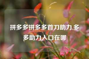 拼多多拼多多首刀助力,多多助力入口在哪