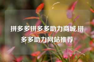 拼多多拼多多助力商城,拼多多助力网站推荐