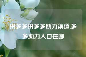 拼多多拼多多助力渠道,多多助力入口在哪