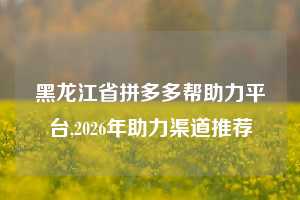 黑龙江省拼多多帮助力平台,2026年助力渠道推荐