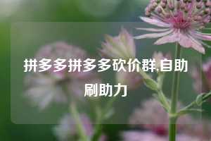 拼多多拼多多砍价群,自助刷助力