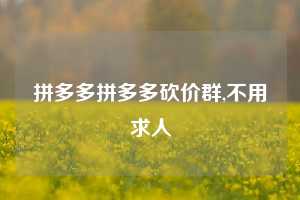 拼多多拼多多砍价群,不用求人