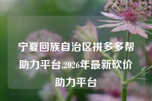 宁夏回族自治区拼多多帮助力平台,2026年最新砍价助力平台