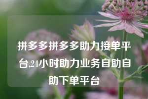 拼多多拼多多助力接单平台,24小时助力业务自助自助下单平台