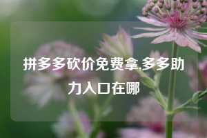 拼多多砍价免费拿,多多助力入口在哪