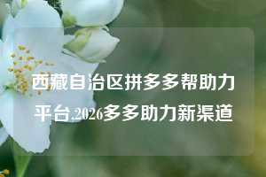 西藏自治区拼多多帮助力平台,2026多多助力新渠道