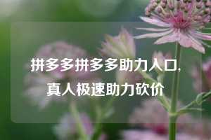 拼多多拼多多助力入口,真人极速助力砍价