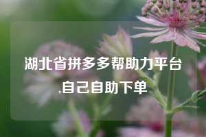 湖北省拼多多帮助力平台,自己自助下单