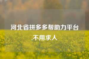 河北省拼多多帮助力平台,不用求人