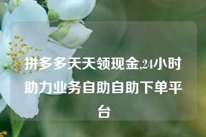拼多多天天领现金,24小时助力业务自助自助下单平台