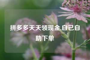 拼多多天天领现金,自己自助下单