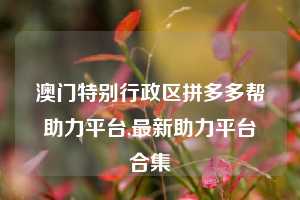 澳门特别行政区拼多多帮助力平台,最新助力平台合集