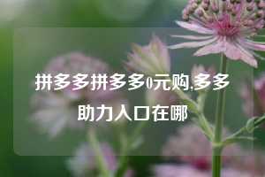 拼多多拼多多0元购,多多助力入口在哪