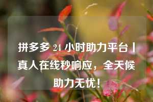 拼多多 24 小时助力平台丨真人在线秒响应,全天候助力无忧!