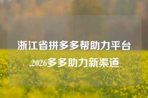 浙江省拼多多帮助力平台,2026多多助力新渠道