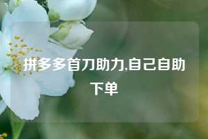拼多多首刀助力,自己自助下单