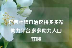广西壮族自治区拼多多帮助力平台,多多助力入口在哪
