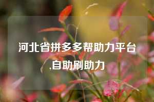 河北省拼多多帮助力平台,自助刷助力