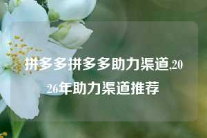 拼多多拼多多助力渠道,2026年助力渠道推荐