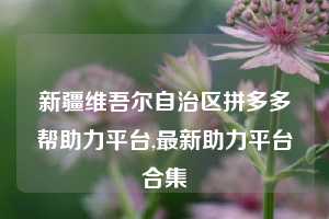 新疆维吾尔自治区拼多多帮助力平台,最新助力平台合集