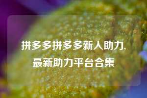 拼多多拼多多新人助力,最新助力平台合集