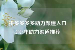 拼多多多多助力渠道入口,2026年助力渠道推荐