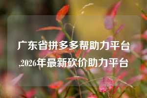 广东省拼多多帮助力平台,2026年最新砍价助力平台