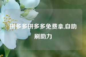 拼多多拼多多免费拿,自助刷助力