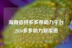 海南省拼多多帮助力平台,2026多多助力新渠道