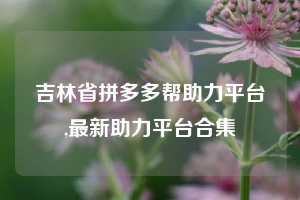 吉林省拼多多帮助力平台,最新助力平台合集