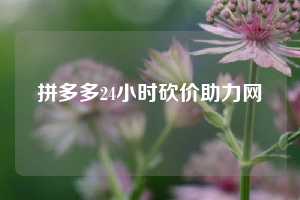 拼多多24小时砍价助力网