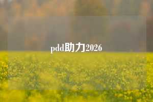 pdd助力2026