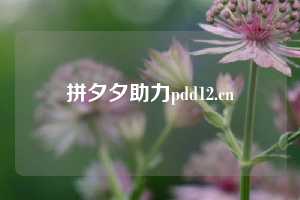 拼夕夕助力pdd12.cn